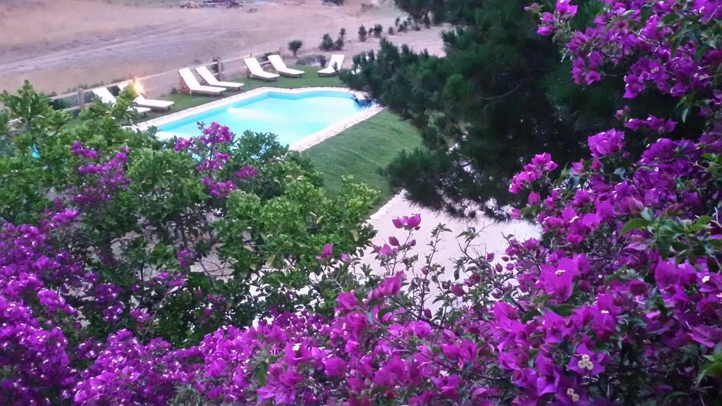Elli Beach Apartments And Studios Альмирос-Бич Номер фото